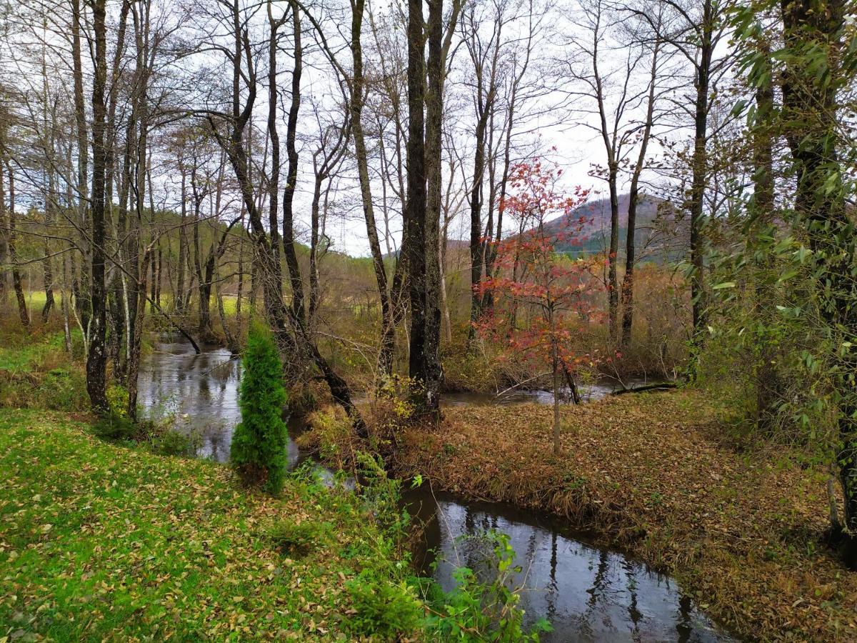Vodenica Vrelo Chalets Vrelo Koreničko Exteriör bild