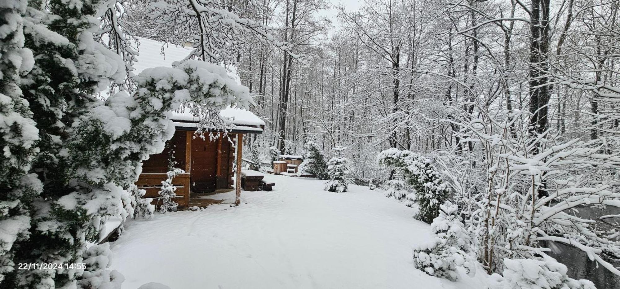 Vodenica Vrelo Chalets Vrelo Koreničko Exteriör bild