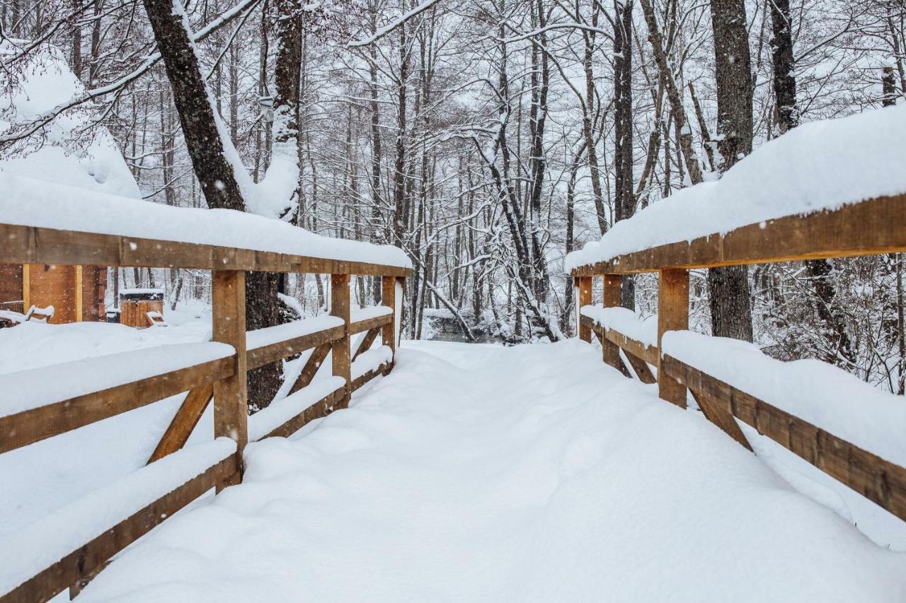Vodenica Vrelo Chalets Vrelo Koreničko Exteriör bild